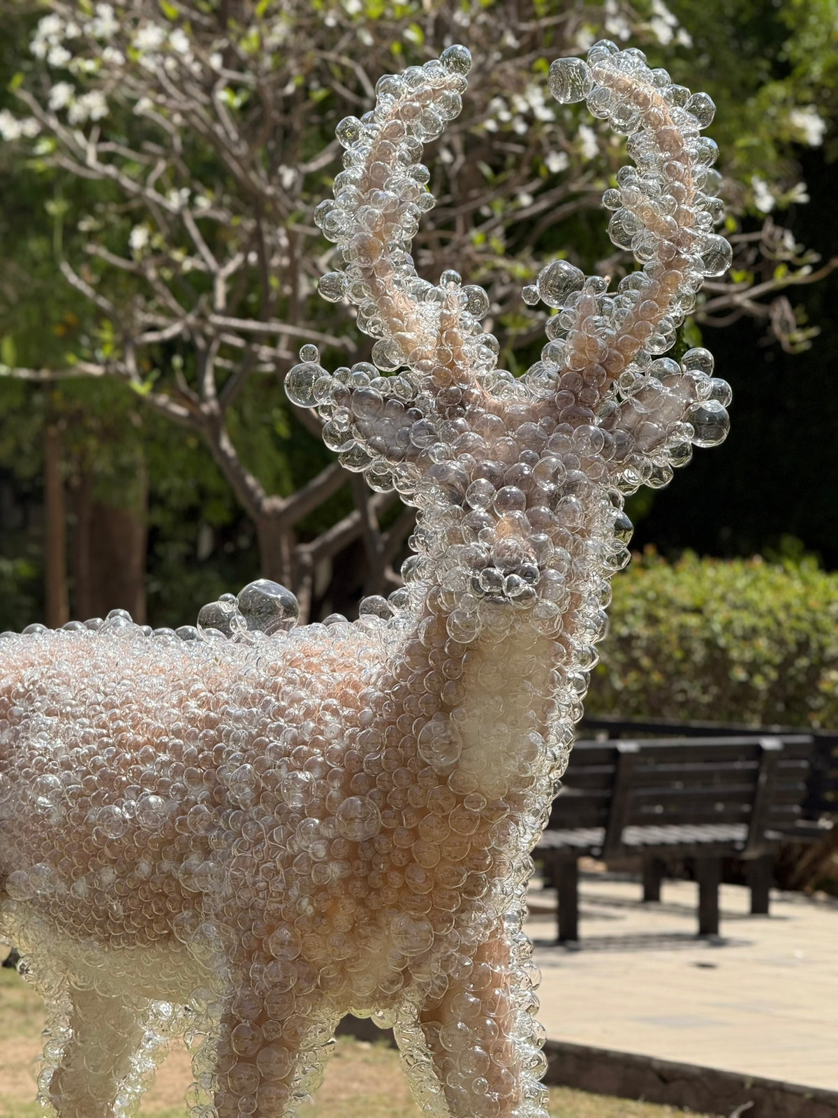 Crystal Bubble Stag Sculpture