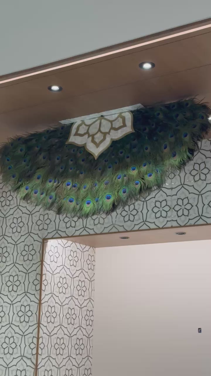 Peacock Feather Kinetic Canopy